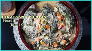 Picadillo Bicol Dish  Creamy Ginataang Tilapia Sinanglay Bicolano Cuisine  Jean’s Vlogs [upl. by Adirf4]