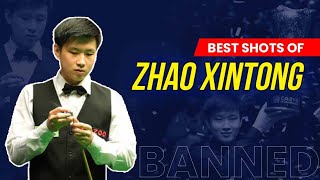 Unforgettable Moments Zhao Xintongs Greatest Shots in Snooker  From Glory to Ban [upl. by Aisatana]