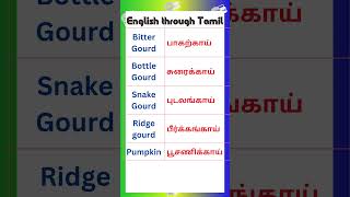 22 Vocabulary for Spoken English in Tamil vocabularyintamil spokenenglishintamil [upl. by Annairdua]