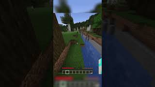 Minecraft but 100 Wolves Are Chasing Me [upl. by Gianina]