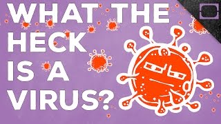 Are Viruses Alive [upl. by Dosh]