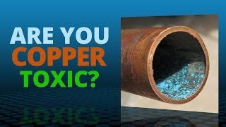 Copper Toxicity  Risk Symptoms and Treatment Strategies [upl. by Ahsahtan879]