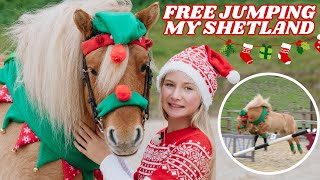 FREE JUMPING CLOUDY MY SHETLAND PONY HARLOWS VLOGMAS [upl. by Konstanze664]