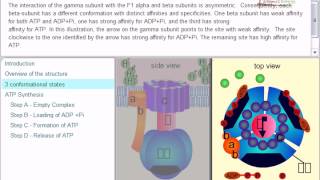 ATP synthesis chemiosmotic theory [upl. by Shieh]