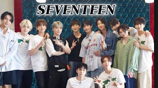 𝑺𝑽𝑻 2024 seventeen playlist  세븐틴 명곡  노동요  60곡 [upl. by Willms640]