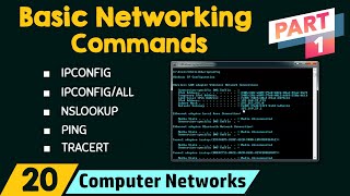 Basic Networking Commands Part 1 [upl. by Byran]