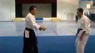 Student of Steven Seagal Calderon Sensei Demonstrates [upl. by Naro]