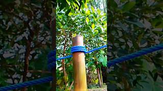 very good strong knot knot shortvideo survival outdoors fyp diy [upl. by Annelise]