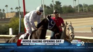 Horse racing returns to Rillito Race Track [upl. by Euqilegna871]