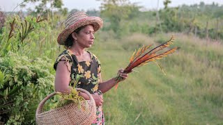 Wild foods Delicious golden leather fern and kara leaf recipe  mali cooking [upl. by Elatsyrk]