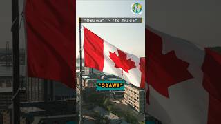 The Origins of Ottawa Canadas Capital ottawa canada shorts [upl. by Sila]