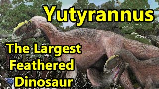 Yutyrannus The Largest Feathered Dinosaur Ever Discovered [upl. by Ahseihs]