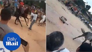 Man gets run over by horses when taking photos during race [upl. by Gustin]