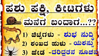 ಪಶು ಪಕ್ಷಿ ಕೀಟಗಳು ಮನೆಗೆ ಬಂದರೆ ಏನು ಅರ್ಥusefulinformationkannada ಶಕುನಗಳು viral viewersloka [upl. by Gimble]