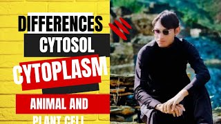 Difference between cytosol and cytoplasm and differences between animal and plant cell [upl. by Hijoung]