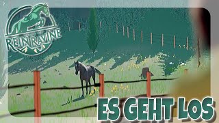 DAS NEUE PFERDESPIEL 🐴 STARTER GUIDE  TALES OF REIN RAVINE [upl. by Baiel124]