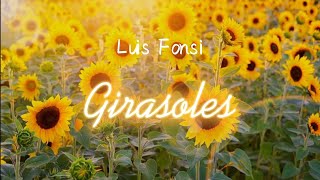 Luis Fonsi  Girasoles Lyrics Video Letra Vídeo 中西字幕翻譯影片） [upl. by Helen]