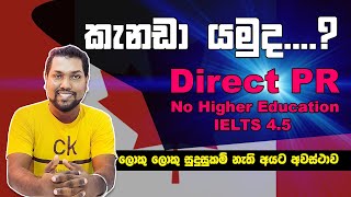 Canada New PNP 2024  සුදුසුකම් අඩුම අයටත් අවස්ථාව  PR අරන් කැනඩා යන්න අවස්ථාව‍  PNP  SL TO UK [upl. by Nwahsar910]