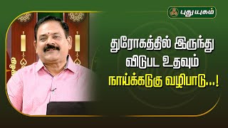 துரோகத்தில் இருந்து விடுபட உதவும் நாய்க்கடுகு வழிபாடு  நங்கநல்லூர் Drபஞ்சநாதன்  Puthuyugamtv [upl. by Tremann]