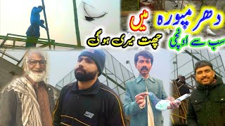 khokhar Pigeon Club  Pigeon Loft New Video  Pola G Pigeon Club [upl. by Einuj]