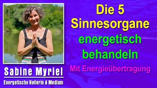 Die 5 Sinnesorgane energetisch behandeln  Sabine Myriel Emge  Mit Energieübertragung [upl. by Eatnuahs54]