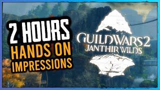 I played 2 hours of Guild Wars 2 Janthir Wilds Gameplay amp Impressions [upl. by Ritz959]