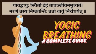 Yogic Breathing ll A powerful technique ll योगी की तरह श्वास लेना सीखो और अनगिनत सिद्धियां पाओ l [upl. by Aniraad]