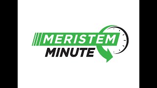 Meristem Minute Early Season Plant Growth Regulators [upl. by Tymes820]