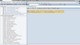 SAP Lock Management [upl. by Aurea]