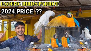 Birds Parrots PRICE  2024 Upcoming PRICE of Exoitic Parrots [upl. by Htes738]