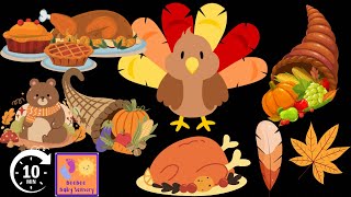 Thanksgiving Baby Sensory  High Contrast Video babylearning [upl. by Pepillo]