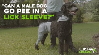 Lick Sleeve Male Dog Urination Instructions [upl. by Sirama666]