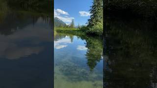 Jet boat running shallow Stikine river [upl. by Enileuqkcaj]