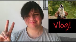 DOGVLOG 04 quotBestes Leben Blechdosenton und meine OPquot [upl. by Kalinda]