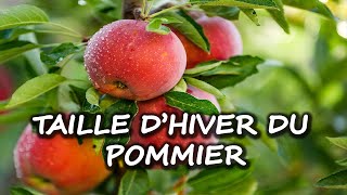 Taille dhiver du Pommier [upl. by Golanka60]