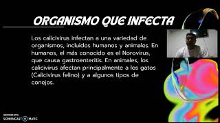 Tarea 2 Diversidad MicrobianaCalinavirus [upl. by Cherlyn610]