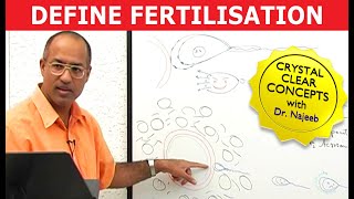 Fertilization Definition  Embryology [upl. by Otecina]