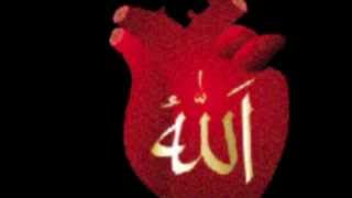 Acquire a Living Heart QalbeSaleem through Qalbi Zikr amp Muraqaba [upl. by Anitsahs]