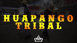 Huapango Tribal  Dj Otto acordeon 2019 [upl. by Roshan]