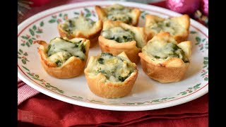 Spiced Artichoke Spinach Cups [upl. by Antoinette697]