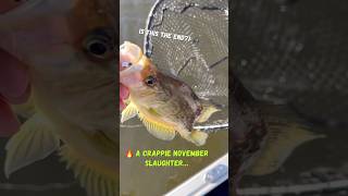 GAME OVER the open water shorts fishing crappie ultralight panfish mn harvest [upl. by Aniras]