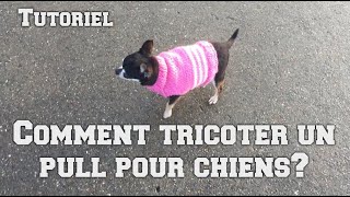 Comment Tricoter Un Pull Pour Chiens Tutoriel DIY [upl. by Hecker]