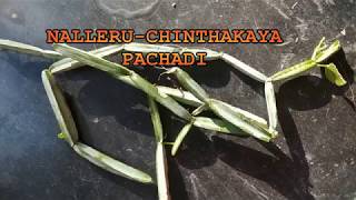 Nalleru Pachadi  Old Healthy Recipe  నల్లేరు పచ్చడి [upl. by Patnode]