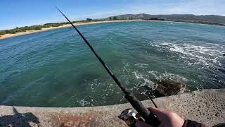 Apollo Bay  Salmon Fishing day 2 [upl. by Ardnahsal200]