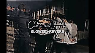 Certified Hit SlowedReverb  Tarna  Byg Byrd  Blamo  New Punjabi Songs [upl. by Ohploda]