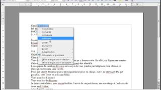 Open office ou Libre office  Texte 03  Correcteur orthographe [upl. by Ardnot]