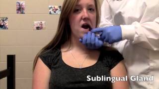 How to Palpate the Salivary Glands [upl. by Van]