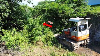 Best fast action Bulldozer HITACHI hits forest and pour grass to clear land [upl. by Cirdec562]