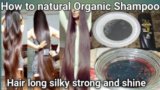 How to Make Natural Organic Shampoo at HomeWorld Best Natural Homemade Shampoo [upl. by Iroc25]