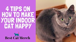 Why My Cat Wants to go Outside  4 Tips on How to Make your Indoor Cats Happy [upl. by Ahsinik188]